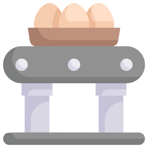 egg boxes
