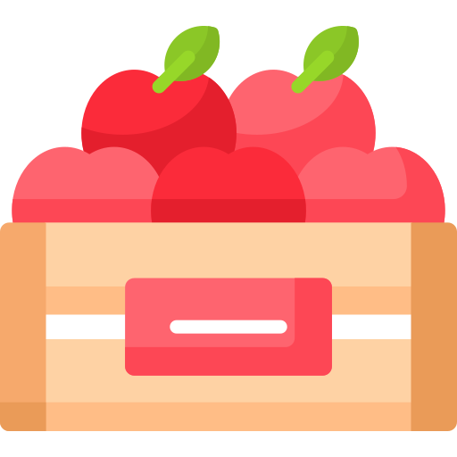 Why Choose Box Wala?