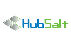 hubsalt logo