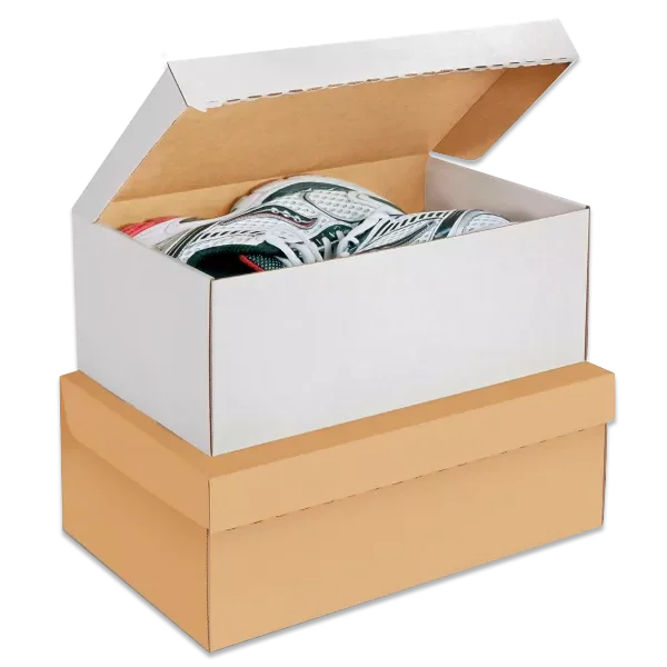 Bulk Orders and Pricing